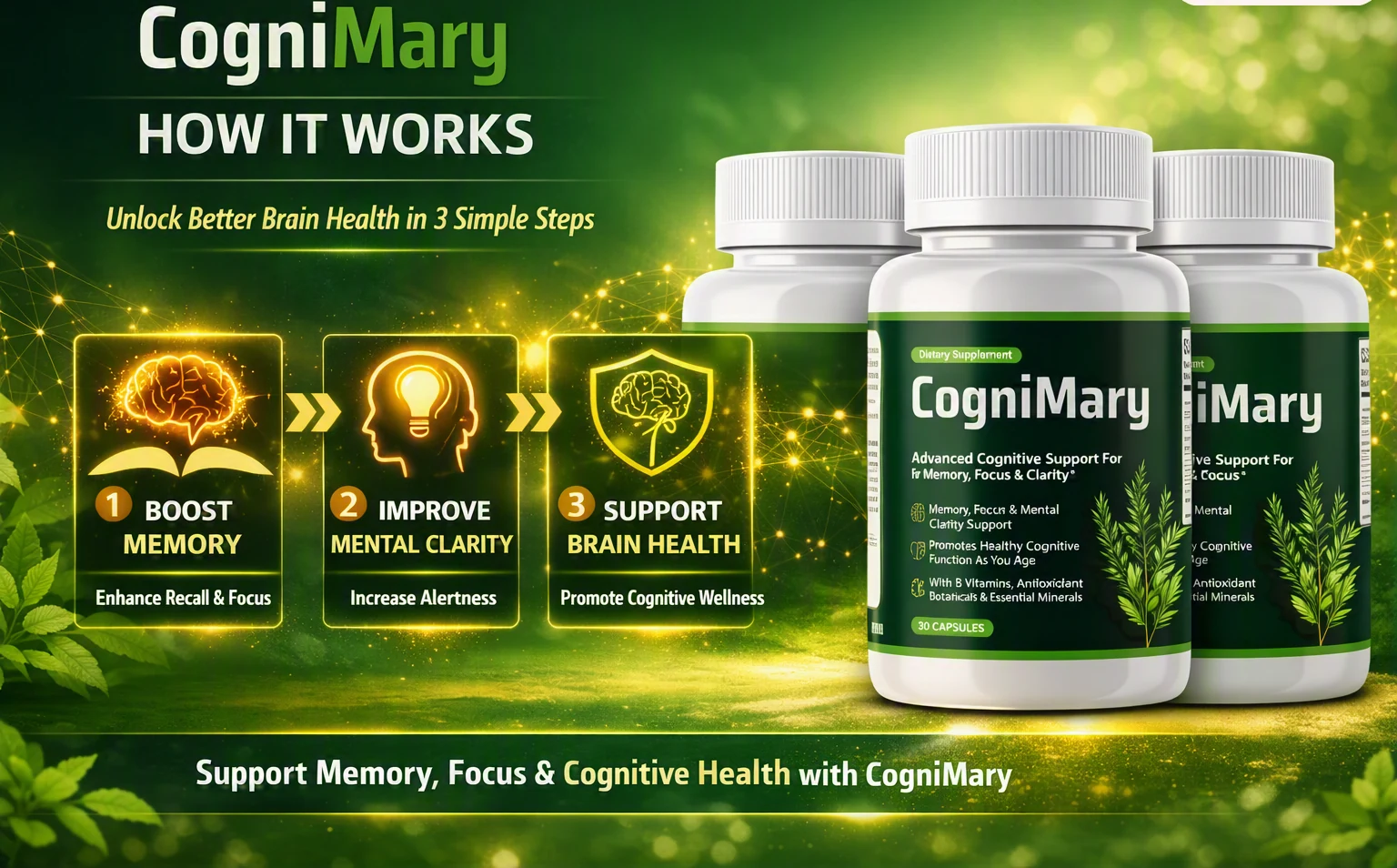 How CogniMary works: boost memory, improve mental clarity, support brain health